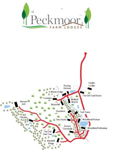 publisher-layout-final-290825-2